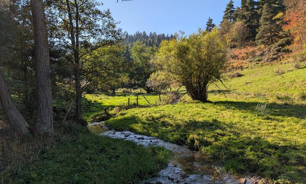 9 octobre 2025 - La Fondation des pêcheurs acquiert 6,4 hectares classés en Haute-Loire