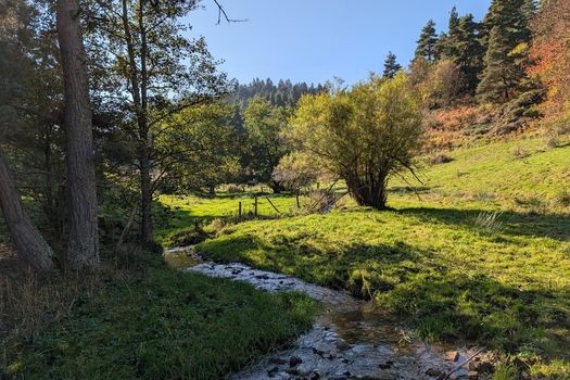 9 octobre 2025 - La Fondation des pêcheurs acquiert 6,4 hectares classés en Haute-Loire