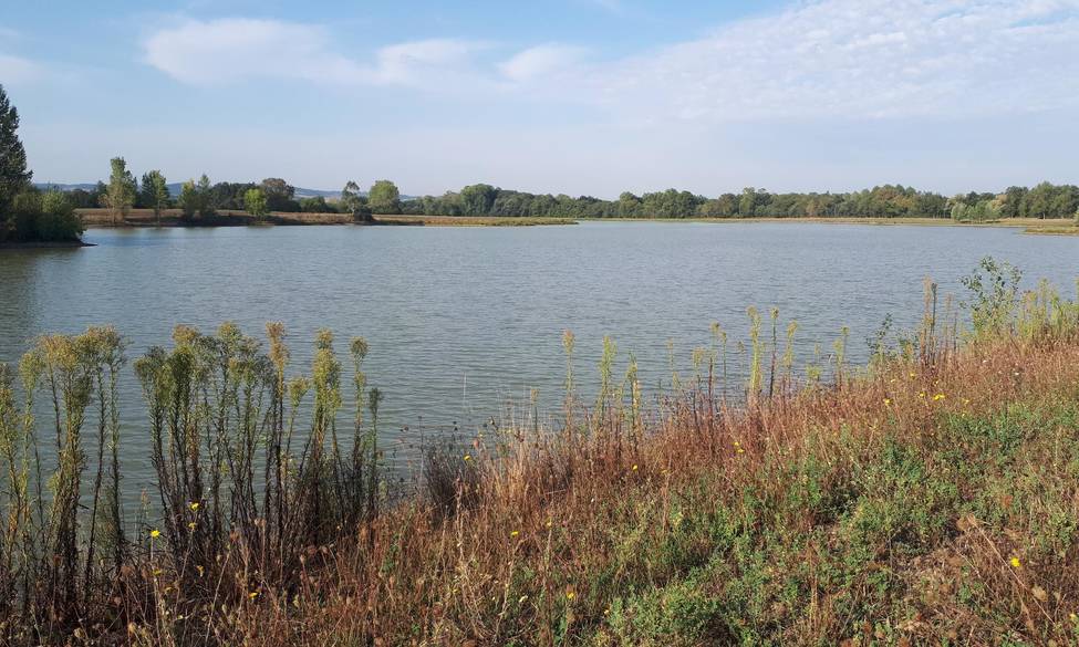 10 septembre 2021 – La Fondation des pêcheurs acquière l’étang de Serviès (Tarn) avec la Fondation pour la Protection des Habitats de la Faune Sauvage.