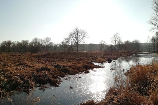 4 janvier 2020 – Nouvelle série d’acquisitions dans le Marais de La Roche du Theil, en Ille-et-Vilaine