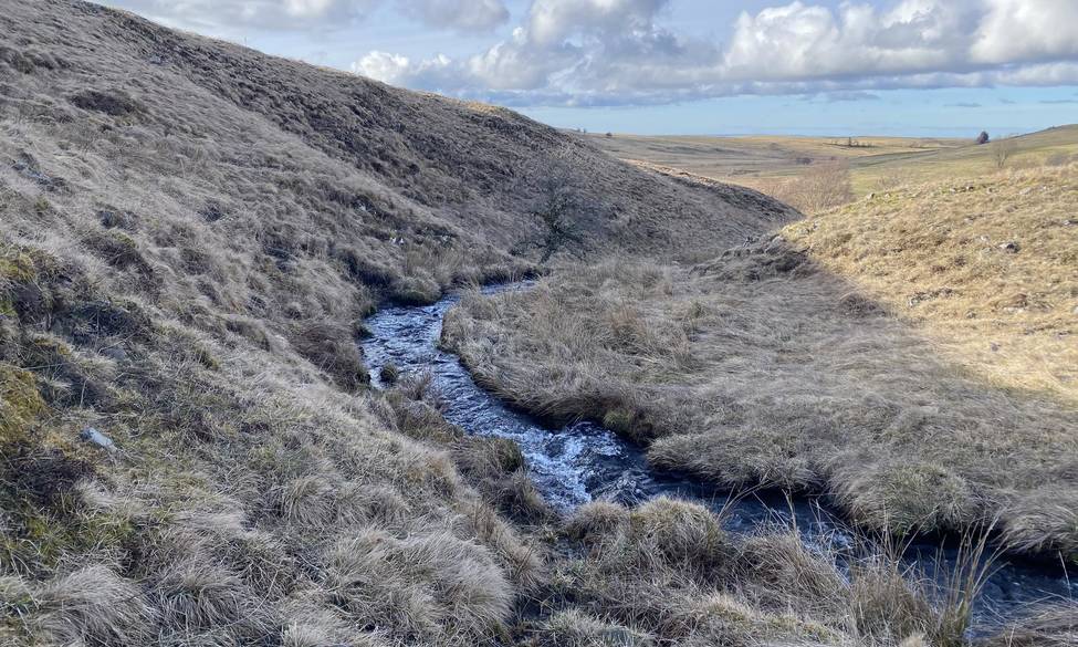3 juin 2026 – La Fondation acquiert 84 hectares dans le Cantal, dont 20 hectares de zones humides