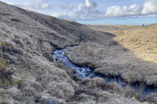 3 juin 2026 – La Fondation acquiert 84 hectares dans le Cantal, dont 20 hectares de zones humides