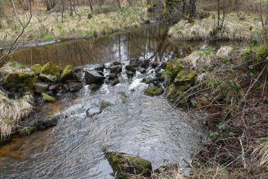 13 janvier 2025 – La Fondation des pêcheurs devient propriétaire de l’Étang de Nourri-Haut (Corrèze)