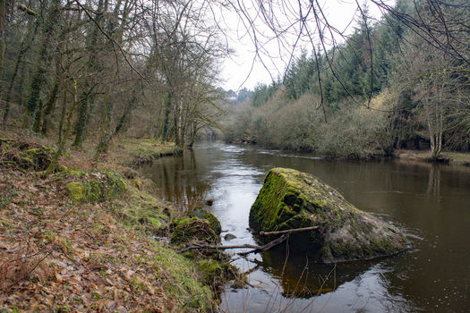 16 décembre 2019 – La Fondation devient propriétaire d’environ 30 hectares et 4,2 km de berges de l’Ellé, en Finistère