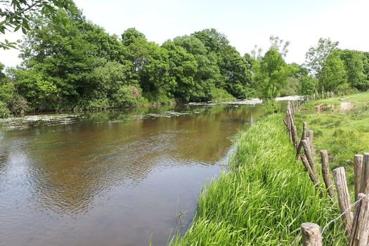 7 avril 2025 – La Fondation des pêcheurs acquière 15 hectares en rive de la Sèvre Nantaise (Vendée et Deux-Sèvres)