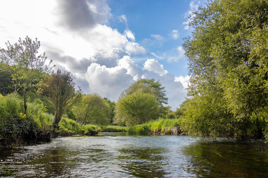 31 janvier 2026 – Avec sa première acquisition de l’année, la Fondation devient propriétaire pour la seconde fois dans le Finistère.