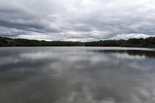 2 ocotbre 2019 - La Fondation devient propriétaire de l'Étang du haut de Marrault, dans l'Yonne