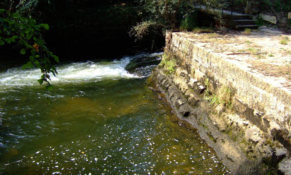 21 novembre 2025 - La Fondation acquiert le seuil du Moulin du Pont pour rétablir la continuité écologique du Ciron, en Gironde