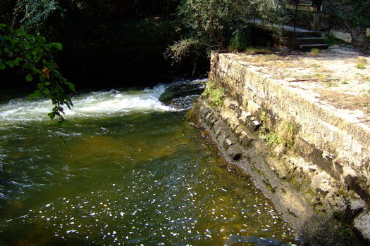 21 novembre 2025 - La Fondation acquiert le seuil du Moulin du Pont pour rétablir la continuité écologique du Ciron, en Gironde