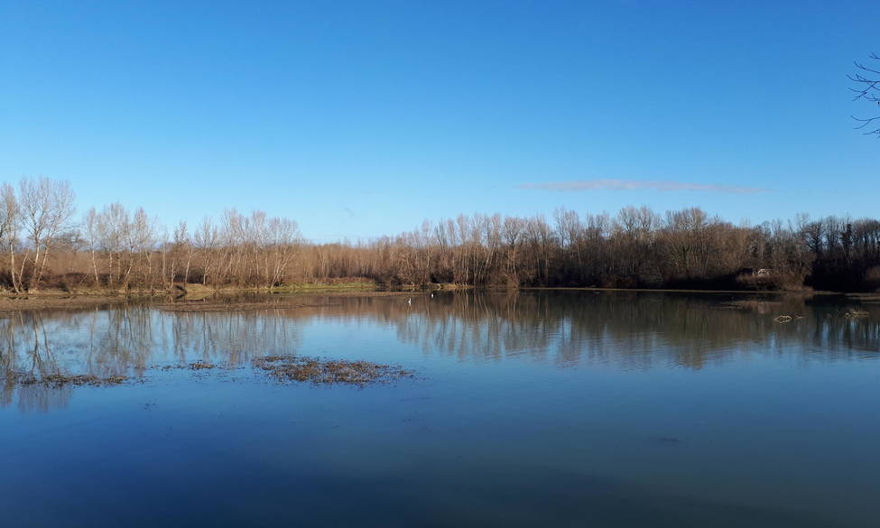 22 octobre 2025 - La Fondation acquiert une ancienne gravière de 13,7 hectares