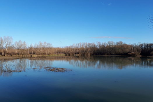 22 octobre 2025 - La Fondation acquiert une ancienne gravière de 13,7 hectares